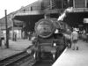Steam at Peterborough North (1965)