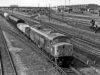 Class 44 Mixed Freight Approaching Peterborough (1978)
