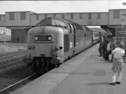 Royal Scots Grey at Peterborough