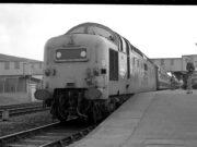 Royal Scots Grey at Peterborough