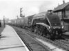 A4 arrival at Peterborough North 1952