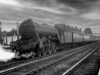 Gresley A3 at Peterborough North (1953)