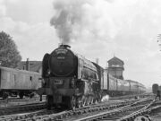 Bongrace at Peterborough East (1964)