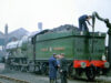 GWR “Clun Castle” at New England (1967)