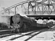 Southbound Freight under Crescent Bridge