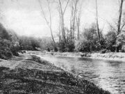 Alwalton Lynch (c.1919)