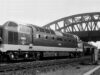 Tulyar under Crescent Bridge (1963)