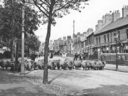 Eastfield Road c.1915