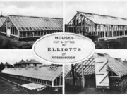 Elliotts Timber Merchants (1935)