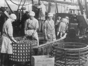 Inside Farrows of Fletton