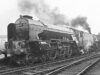 Twin Steam at Peterborough North (1955)