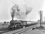 “Persimmon” South of Peterborough (1956)