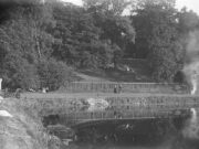 Alwalton Lynch (1907)