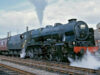 The Lancer at Peterborough East (1964)