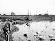 Duck Pond, Browns Farm, Walton – 1936/7
