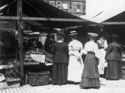 Toogood Strawberries, Alwalton (c.1908)