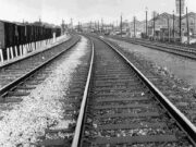 Peterborough North (1960)