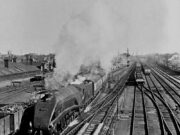 Class W1 Steam at Peterborough North (1956)