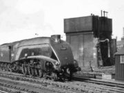 “Woodcock” at New England (1960)