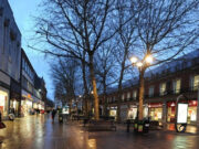 Tree removal from Bridge Street (Feb 2012)