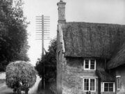 Dragon House – Castor