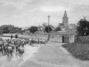 Castor – Peterborough Road c.1909