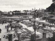 Cattle Market c.1906