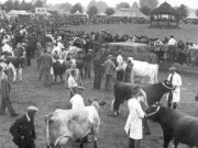 Eastfield Showground