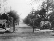 German Guns at Central Park