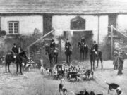 Hounds at the Haycock