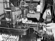 Horrells Dairies bottling room (1950s)