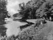 Alwalton Lynch (1907)