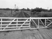 Ham Lane Crossing (Ferry Meadows)