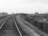 Rhubarb Bridge (1960)