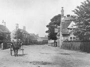 Castor – Royal Oak