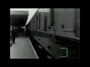 Racing Pigeons at Peterborough North (1956)