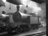 Steam on Shed (1957)