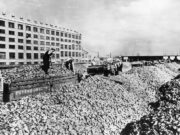 Unloading Sugar Beet (1939)