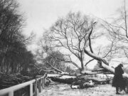 After the Storm, Thorney Causeway (1916)
